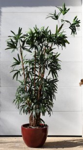 LARGE FAUX PALM IN BURGUNDY CE