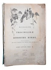 LARGE FOLIO BOOK MONOGRAPH OF