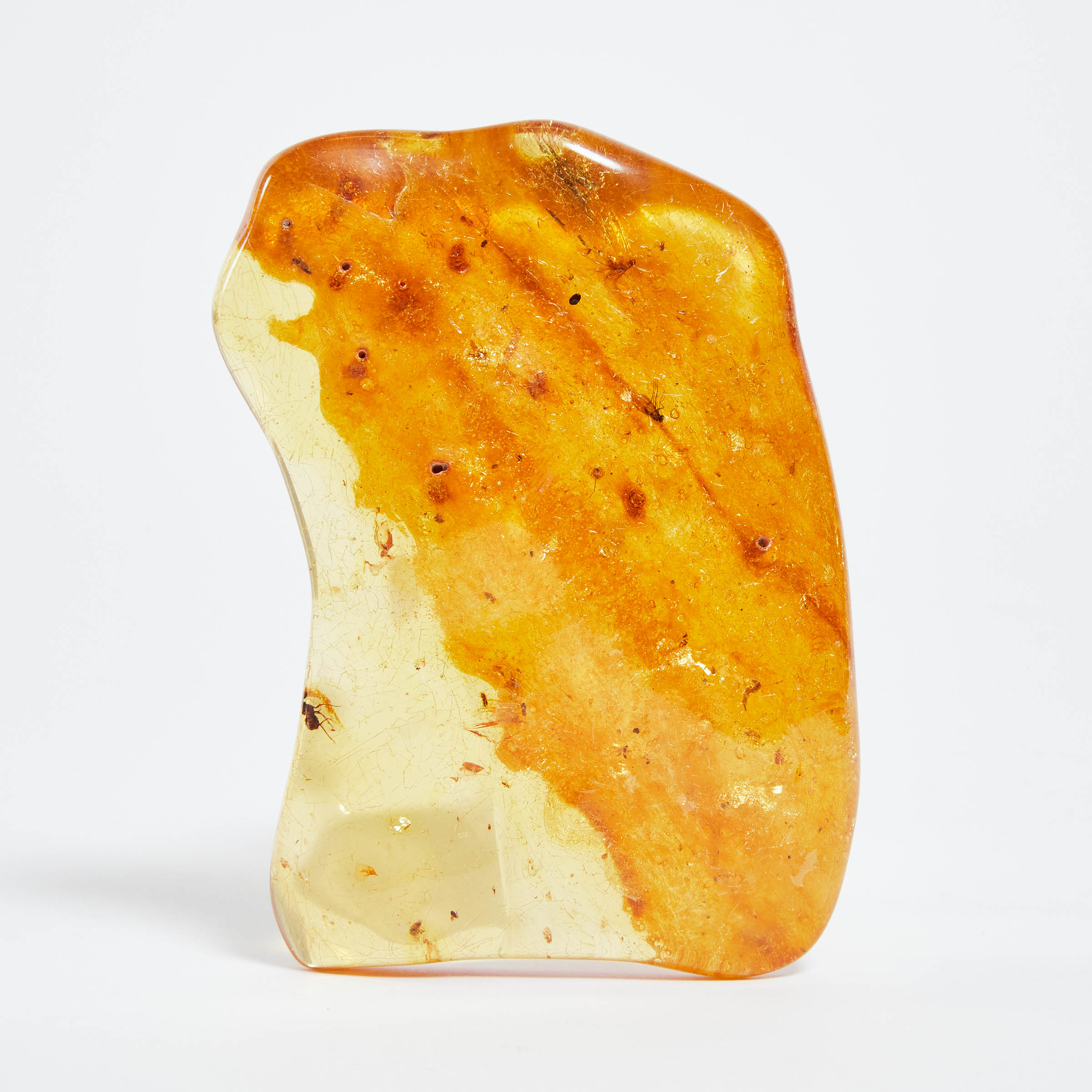 Large Fossilized Amber Specimen