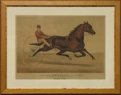 Large framed and matted printe