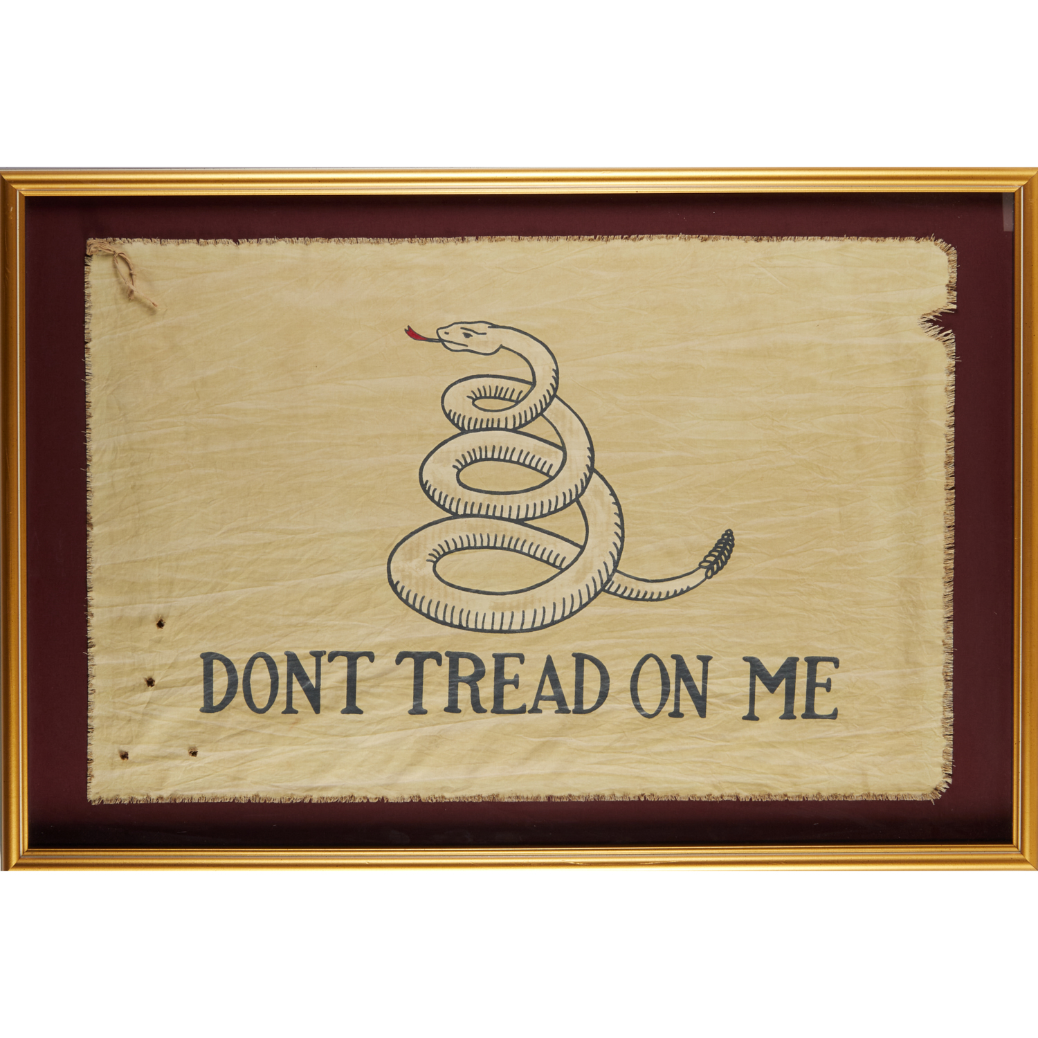 LARGE FRAMED "GADSDEN" DON'T