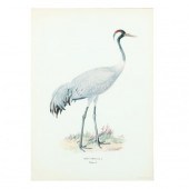 LARGE FRAMED PRINT OF A CRANE