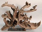LARGE FREEFORM DRIFTWOOD SCULP