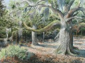 LARGE GARRY MCKEE FLORIDA SCRU