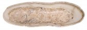 LARGE GEOLOGICAL NATURAL EDGE