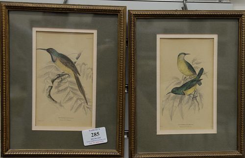 LARGE GROUP OF ENGRAVINGS, PRINTS
