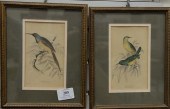 LARGE GROUP OF ENGRAVINGS, PRI