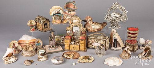 LARGE GROUP OF NAUTICAL SEASHELL
