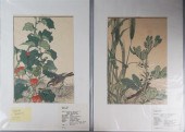 LARGE GROUP OF PRINTED JAPANES