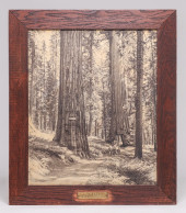 LARGE H.C. TIBBITTS PHOTO WAWO