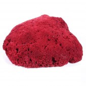 LARGE INDIAN OCEAN RED PIPE OR