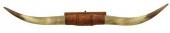 LARGE LONGHORN STEER TROPHY RA