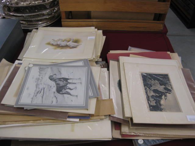 Large Lot of Animal Lithographs &