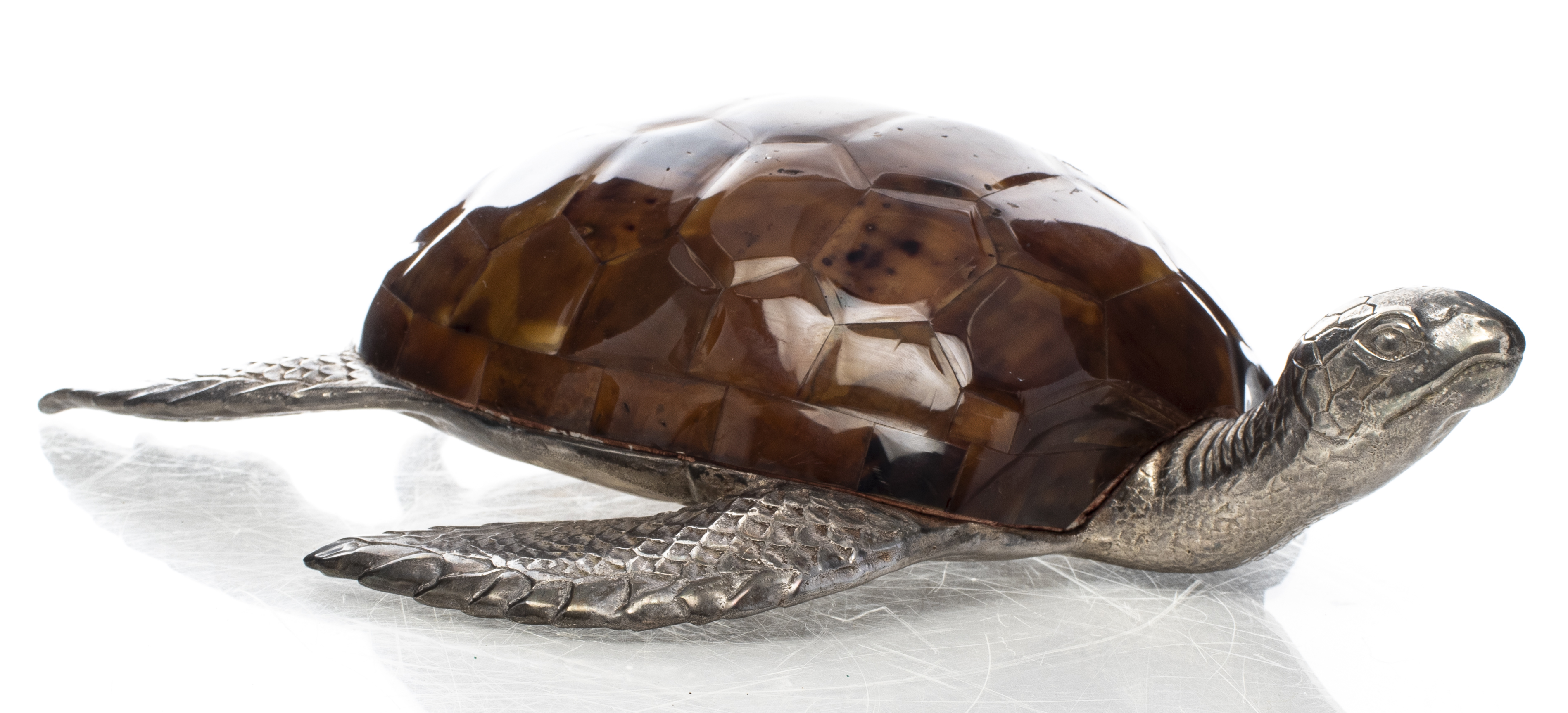 LARGE MAITLAND-SMITH TURTLE