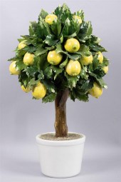 LARGE MAJOLICA LEMON TREE IN W