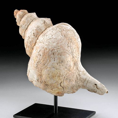 LARGE MAYA CONCH SHELL TRUMPET W/