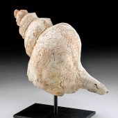 LARGE MAYA CONCH SHELL TRUMPET