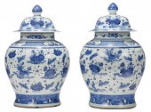 LARGE PAIR CHINESE BLUE AND WH
