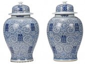 LARGE PAIR CHINESE BLUE AND WH