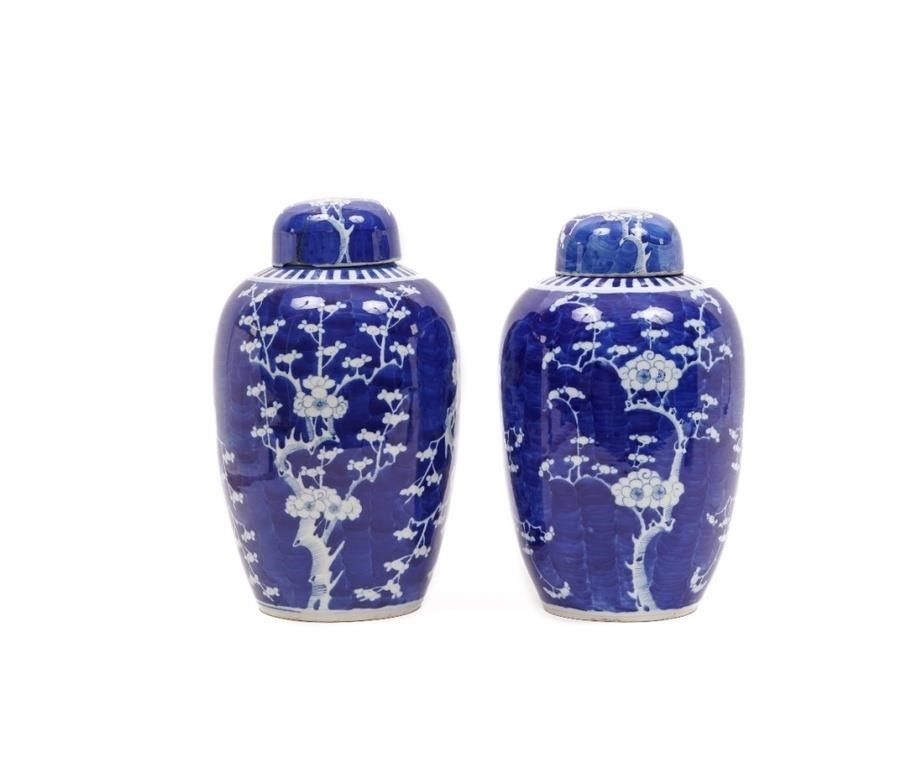 Large pair of Chinese blue and