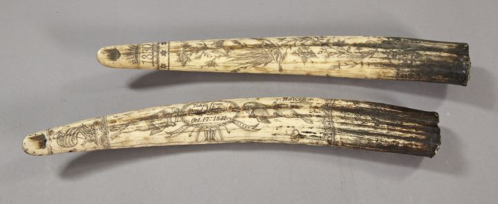 Large Pair of Faux-Walrus Ivory