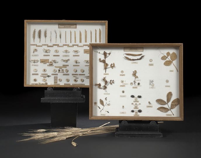 Large Pair of German Shadowboxed