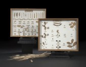 Large Pair of German Shadowbox