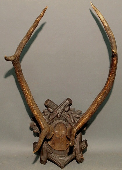 Large pair of stag horn antlers