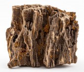 LARGE PETRIFIED WOOD DRUZY QUA