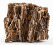 LARGE PETRIFIED WOOD DRUZY QUA
