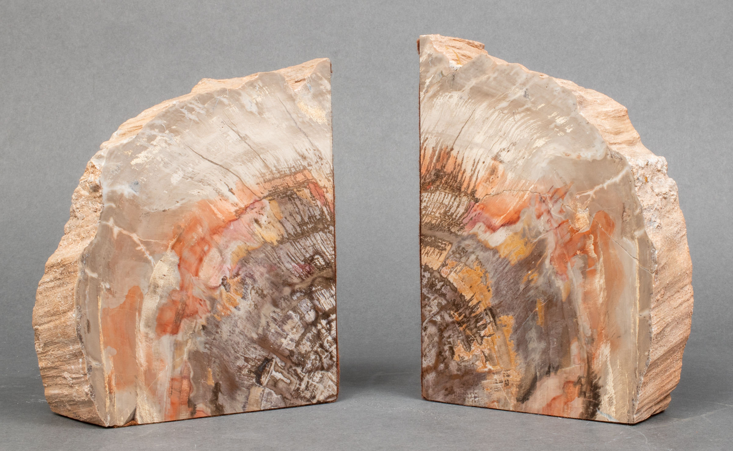LARGE PETRIFIED WOOD SPECIMEN