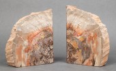 LARGE PETRIFIED WOOD SPECIMEN
