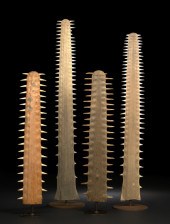 Large Polished Sawfish Rostrum