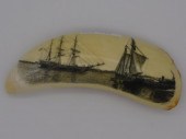 LARGE SCRIMSHAW WHALE'S TOOTH