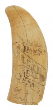 LARGE SCRIMSHAW WHALE'S TOOTH