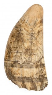 LARGE SCRIMSHAW WHALE'S TOOTH