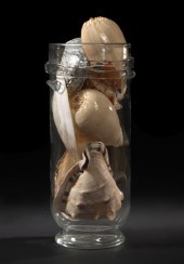 Large Seashell Garniture,  for