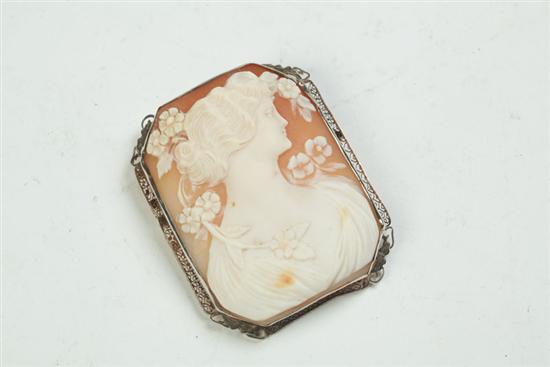 LARGE SHELL CAMEO.  Nineteenth