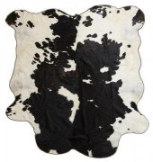 LARGE TANNED BROWN & WHITE COW
