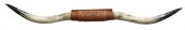 LARGE TEXAS LONGHORN TROPHY MO