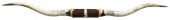 LARGE TEXAS LONGHORN TROPHY MO