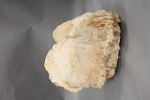 LARGE WHITE FREEFORM GEODELarg