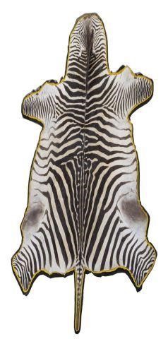 LARGE ZEBRA  HIDE RUG, OVERALL