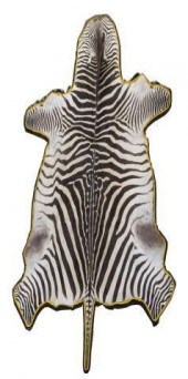 LARGE ZEBRA  HIDE RUG, OVERALL