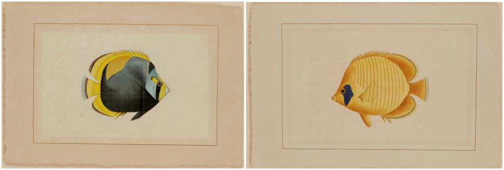 LAROCHE LAFFITTE, (B. 1946,