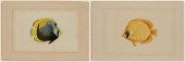 LAROCHE LAFFITTE, (B. 1946, FR