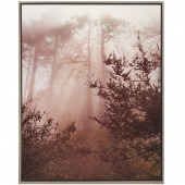 LARRY SECRIST, BIG SUR PHOTOGR