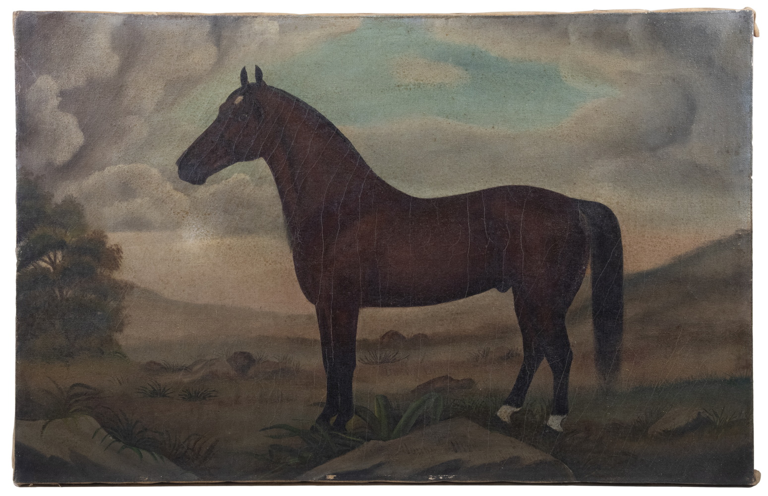 LATE 19TH C. AMERICAN EQUINE