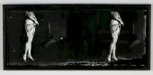 LATE 19TH C. STEREOSCOPIC BOUD