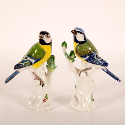 Late 19th Century Meissen birds,